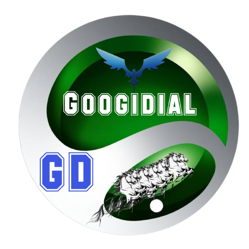 Googi Dial